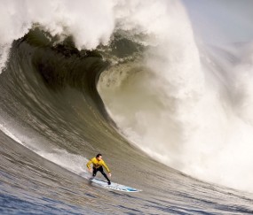 开云官方app入口-约基奇赛后评分拉满背后，掘金血拼山西队，一场跨越篮球文化的对话