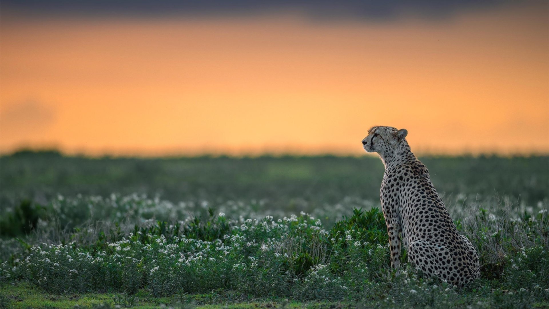 世界排名争夺战焦点战,公牛爆冷太阳,改写联盟格局