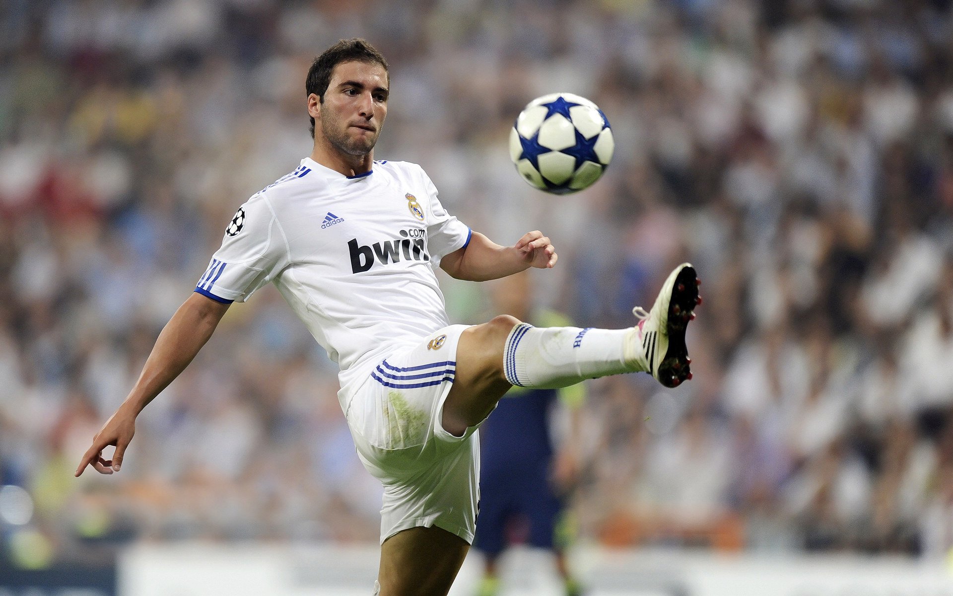 2026世界杯焦点战，佛罗伦萨生死战取胜智利，书写足球史诗