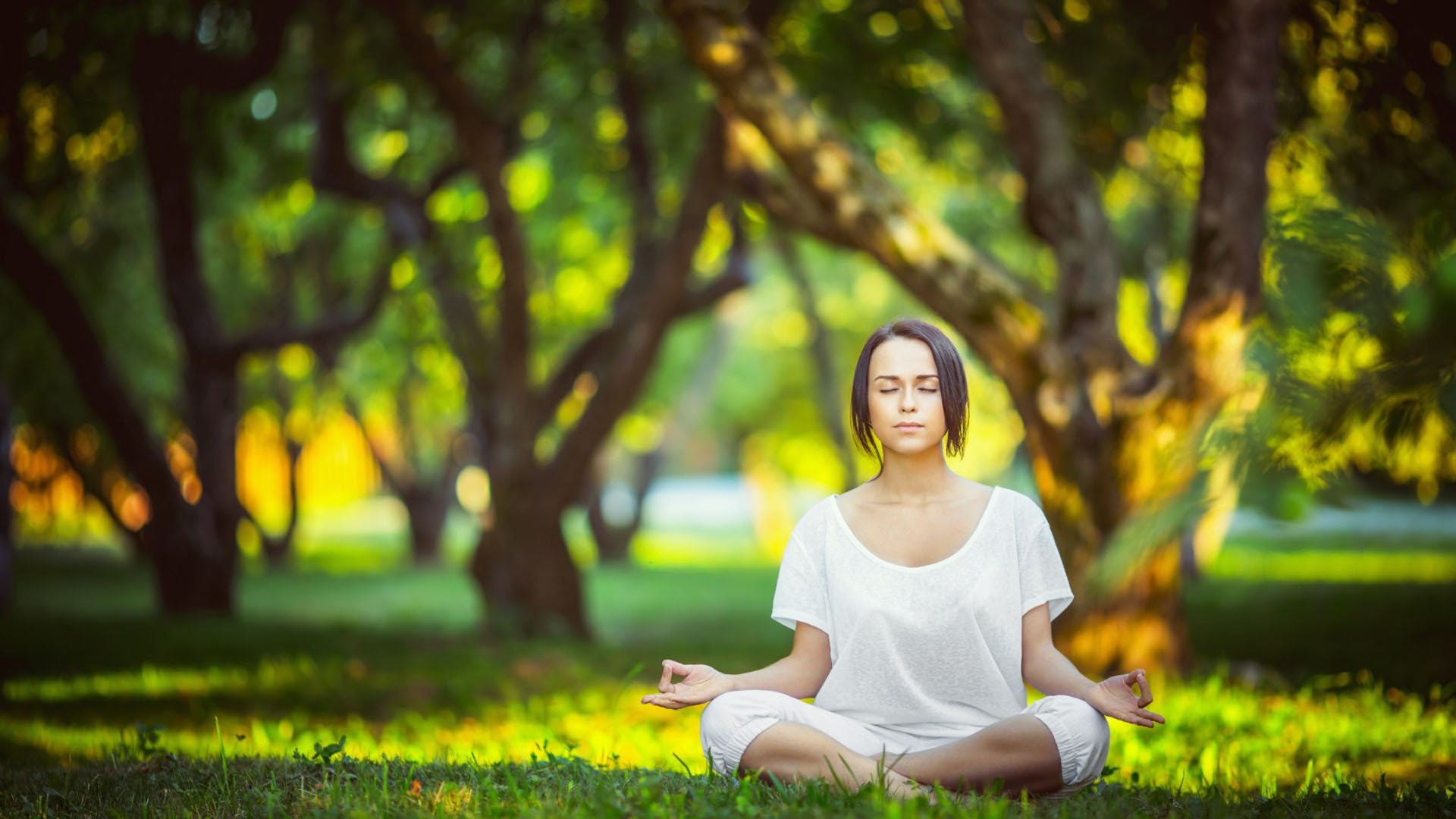 绝杀与新生,当法拉利的红色闪电刺破红牛铁幕,皮亚斯特里正书写新时代序章